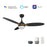 Carro Pearla 52" Ceiling Fan/Remote/Light Kit, Black/Black