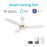 Carro York 52" Ceiling Fan/Remote/Light Kit/Downrod