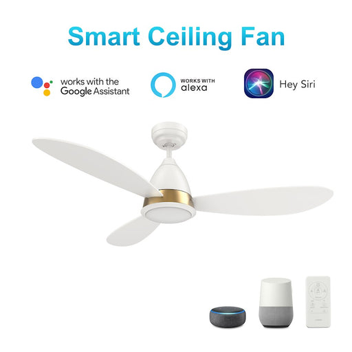Carro York 52" Ceiling Fan/Remote/Light Kit/Downrod