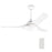 Carro Daffodil Smart Ceiling Fan/Remote/Light Kit, White/White