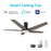 Carro Woodrow 52" Ceiling Fan/Remote/Light Kit, Black