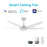 Carro Woodrow 52" Smart Ceiling Fan/Remote/Light Kit
