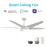 Carro Woodrow 52" Smart Ceiling Fan/Remote/Light Kit
