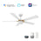 Carro Stockton 52" Ceiling Fan/Remote/Light Kit
