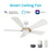 Carro Savili 52" Ceiling Fan/Remote/Light Kit