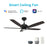 Carro Sonder 52" Smart Ceiling Fan/Remote, Black/Walnut