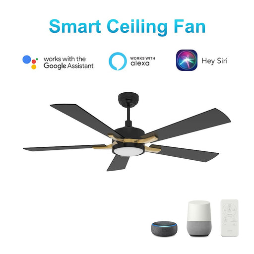 Carro Appleton 52" Ceiling Fan/Remote/Light Kit, Black/Black