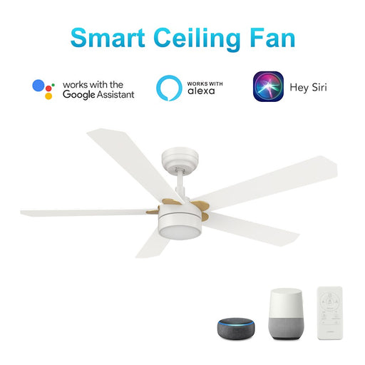 Carro Tarrasa 52" Ceiling Fan/Remote/Light Kit