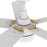 Carro Tarrasa 52" Ceiling Fan/Remote/Light Kit