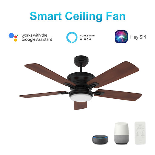 Carro Gladiolus 52" Smart Ceiling Fan/Light Kit, Black/Wooden
