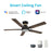 Carro Espear 52" Ceiling Flush Fan/Remote, Black/Walnut