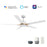 Carro Espear 52" Smart Ceiling Fan/Remote/Light Kit