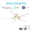 Carro Espear 52" Ceiling Fan/Remote/Light Kit