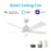 Carro Ascender 52" Wifi Smart Ceiling Fan/Remote/Light Kit