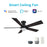 Carro Ascender 52" Ceiling Fan/Remote/Light Kit, Black/Walnut