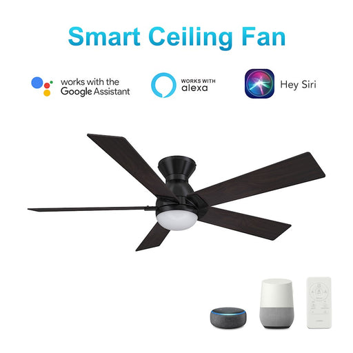 Carro Ascender 52" Ceiling Fan/Remote/Light Kit, Black/Walnut