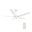 Carro Elira 52" Ceiling Fan/Light Kit/Remote, White/White