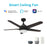 Carro Solasta 52" Smart Ceiling Fan/Remote, Black/Walnut