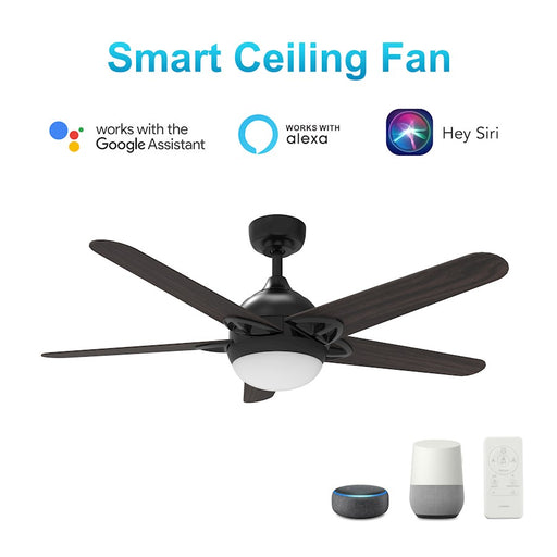 Carro Solasta 52" Smart Ceiling Fan/Remote, Black/Walnut