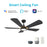 Carro Winston 56" Ceiling Fan/Remote/Light Kit, Black/Black