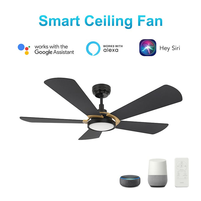 Carro Winston 56" Ceiling Fan/Remote/Light Kit, Black/Black