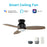 Carro Trento Ceiling Fan/Remote/Light Kit, Black/Walnut