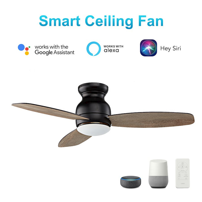 Carro Trento Ceiling Fan/Remote/Light Kit, Black/Walnut
