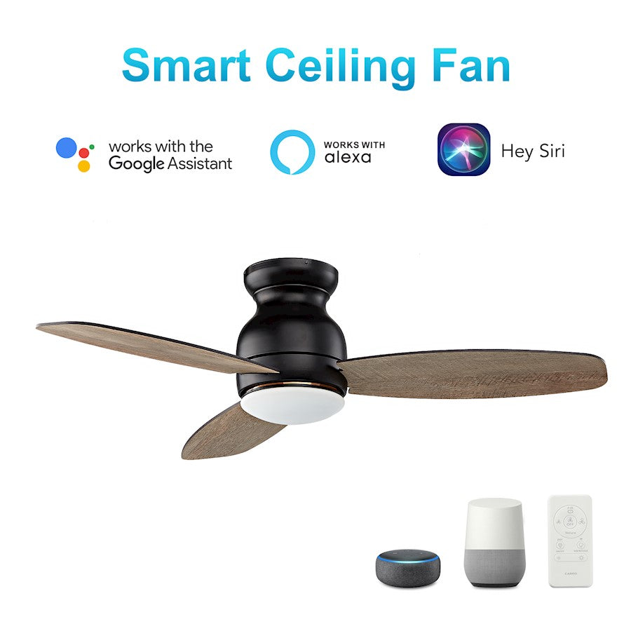 Carro Trento Ceiling Fan/Remote/Light Kit, Black/Walnut