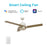 Carro Aeryn 52" Ceiling Fan/Wall Control