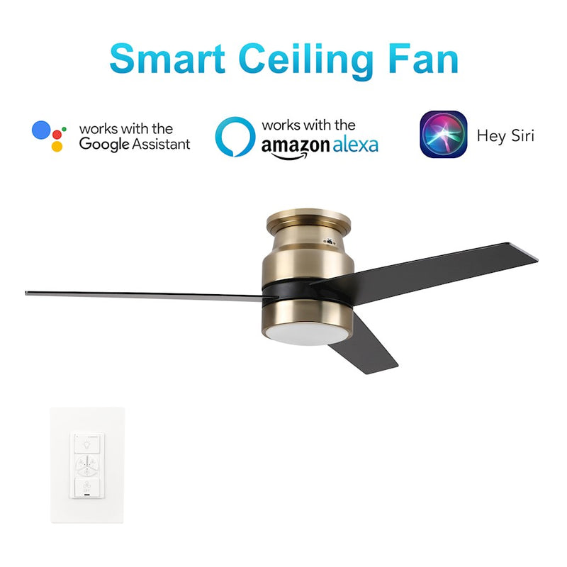 Carro Raiden 52" Ceiling Fan/LED Light Kit