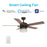 Carro Alexia 52" Ceiling Fan/Wall Control, Bronze/Br Wood