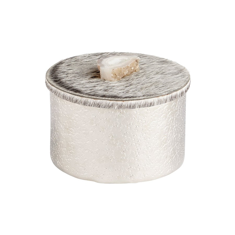 Cyan Design Medium Windsor Container, Nickel