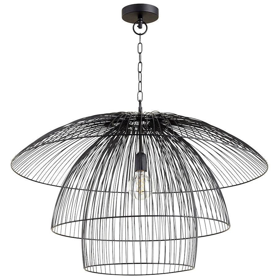 Cyan Design Canopy Pendant, Matte Black
