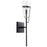 Cyan Design Elroy Wall Mount, Noir/Aged Brass