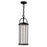 CWI Lighting Greenwood Outdoor Pendant, Black/Clear - 0407P6-1-101