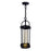 CWI Lighting Greenwood Outdoor Pendant, Black/Clear