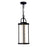 CWI Lighting Greenwood Outdoor Pendant, Black/Clear