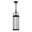 CWI Lighting Greenwood Outdoor Pendant, Black/Clear