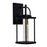 CWI Lighting Greenwood 13"H Outdoor Wall Light, Black/Clear
