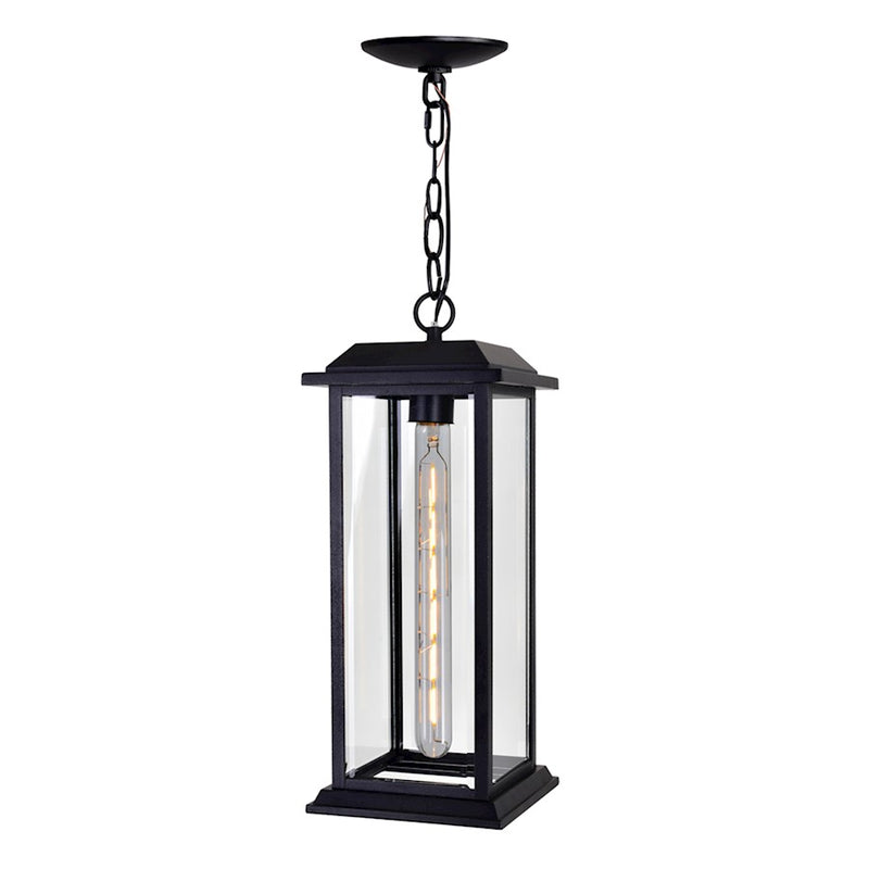 CWI Lighting Blackbridge 1 Light Outdoor Pendant, Black/Clear