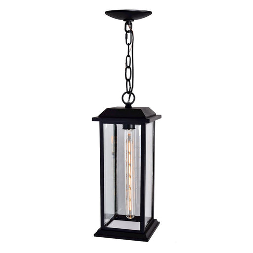 CWI Lighting Blackbridge 1 Light Outdoor Pendant, Black/Clear