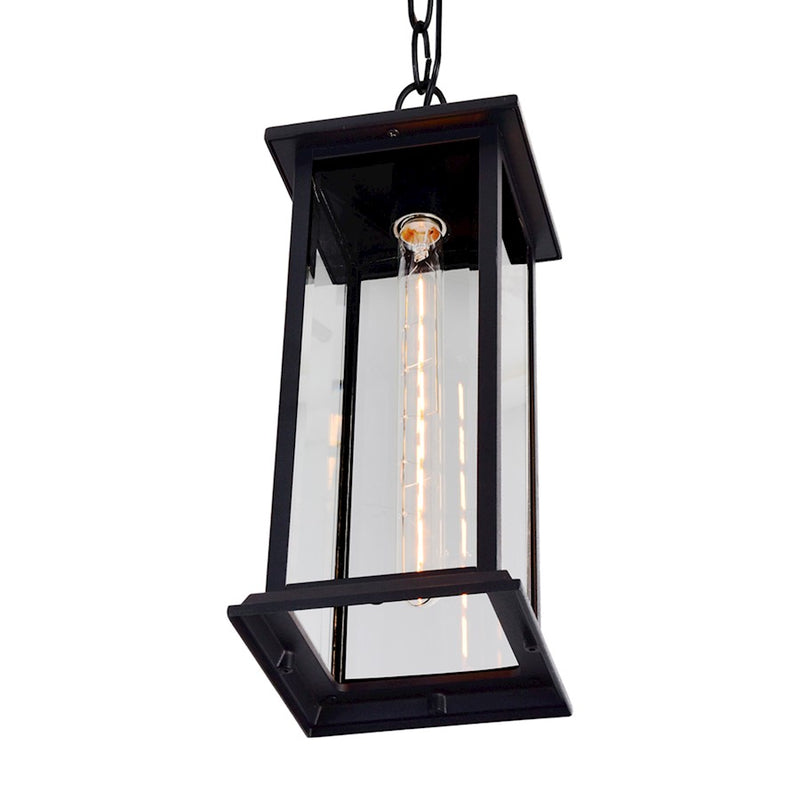 CWI Lighting Blackbridge 1 Light Outdoor Pendant, Black/Clear