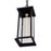 CWI Lighting Blackbridge 1 Light Outdoor Pendant, Black/Clear