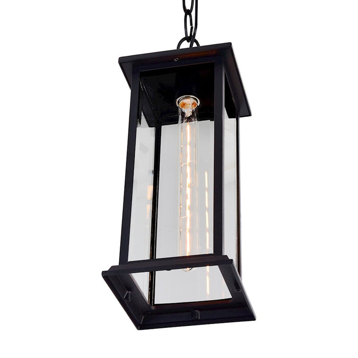 CWI Lighting Blackbridge 1 Light Outdoor Pendant, Black/Clear