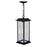 CWI Lighting Blackbridge 1 Light Outdoor Pendant, Black/Clear
