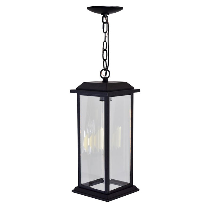 CWI Lighting Blackbridge 1 Light Outdoor Pendant, Black/Clear