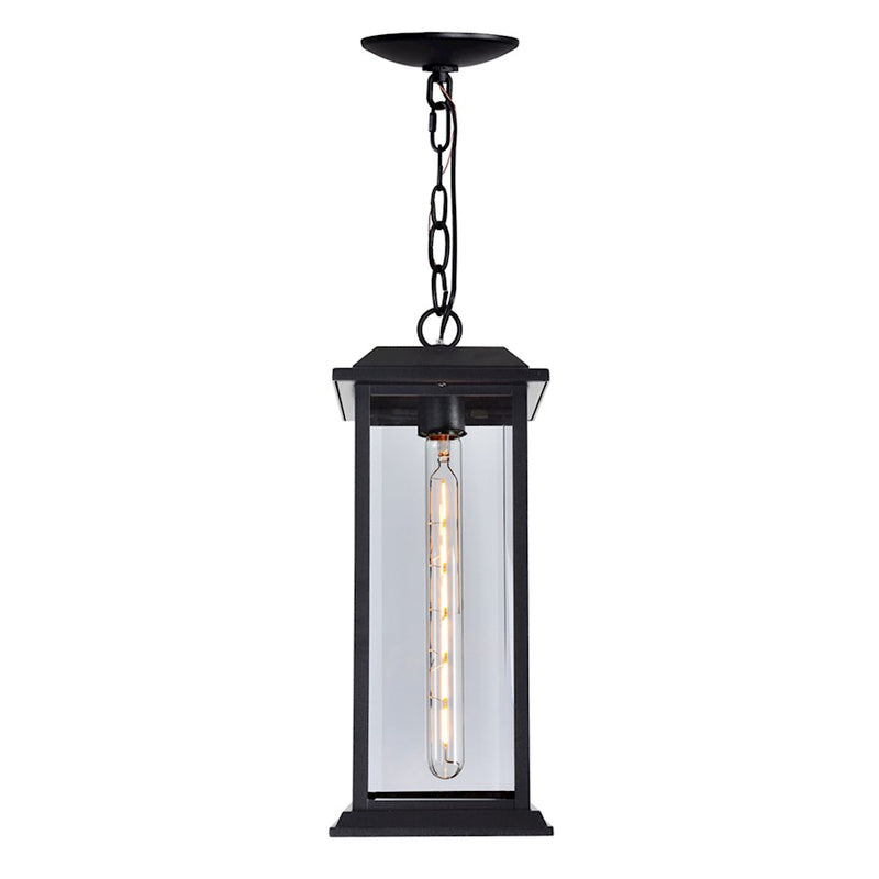 CWI Lighting Blackbridge 1 Light Outdoor Pendant, Black/Clear