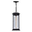 CWI Lighting Blackbridge 1 Light Outdoor Pendant, Black/Clear