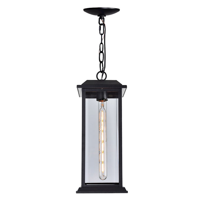 CWI Lighting Blackbridge 1 Light Outdoor Pendant, Black/Clear