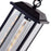 CWI Lighting Blackbridge 1 Light Outdoor Pendant, Black/Clear